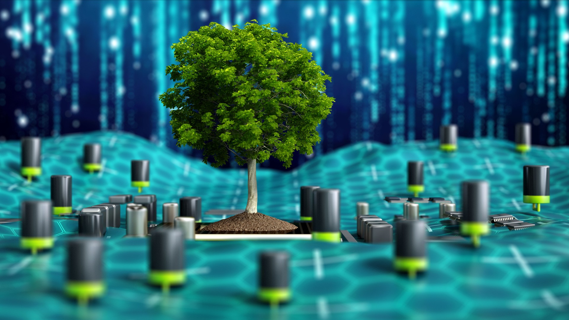 Green Tree Growing on a Circuit Board With a Blue Digital Background. Eco Business Concept